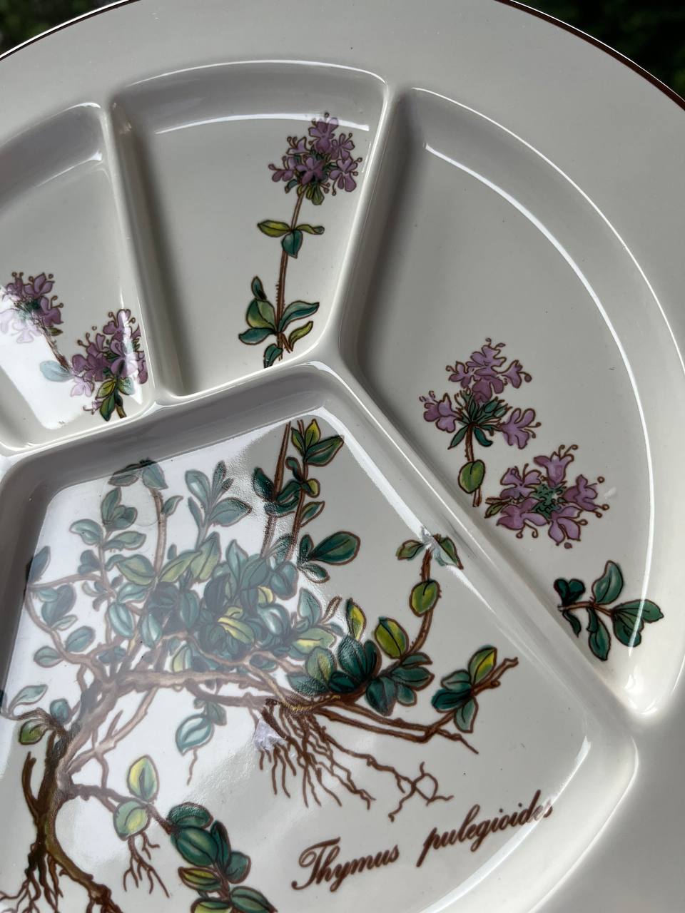 Dzielony talerz do fondue / przekąsek Villeroy & Boch „Botanica” (24,5 cm)